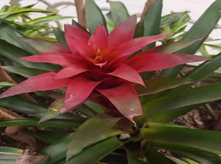 沈陽企業(yè)展廳設(shè)計(jì)的優(yōu)越性